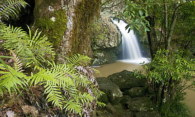 Kondalilla Falls todo Sunshine Coast, Queensland