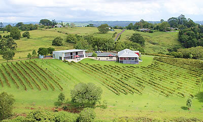 Flame Hill Vineyard todo Sunshine Coast, Queensland