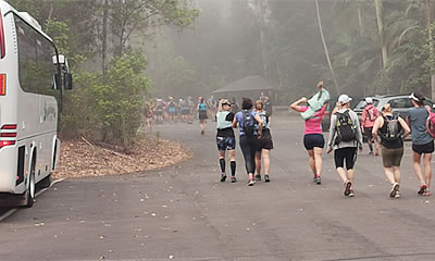 Mystic Mountain Tours todo Sunshine Coast, Queensland